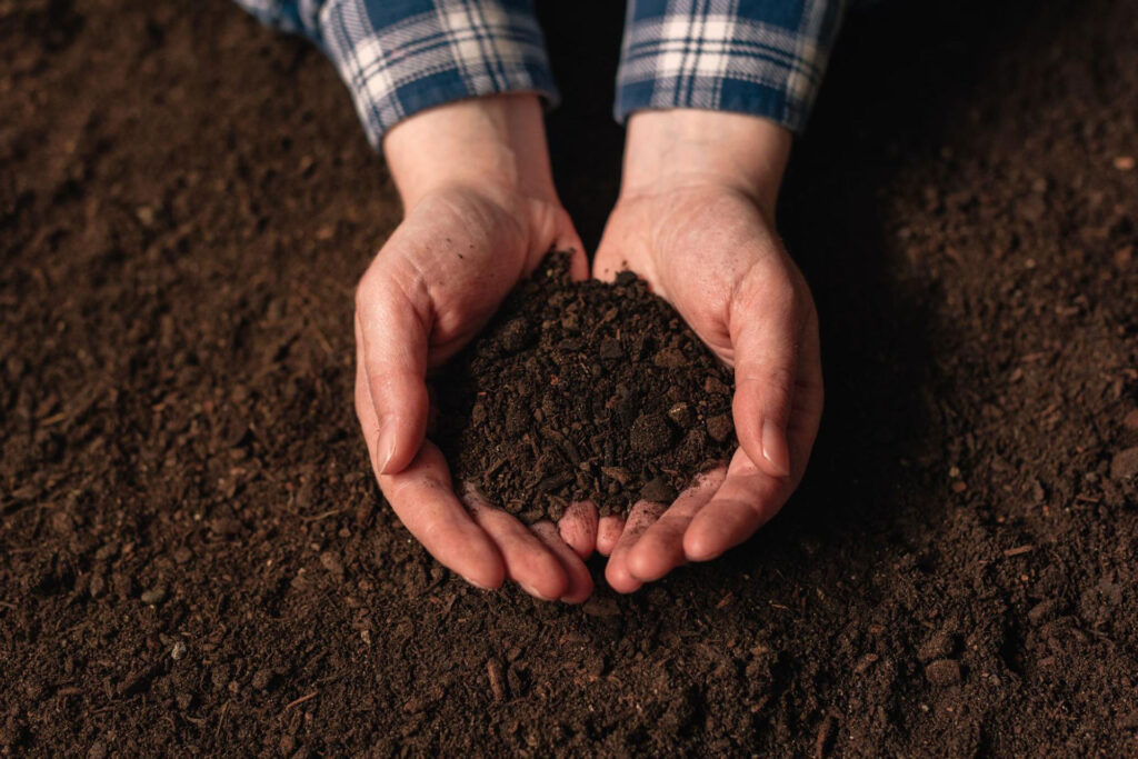 soil
